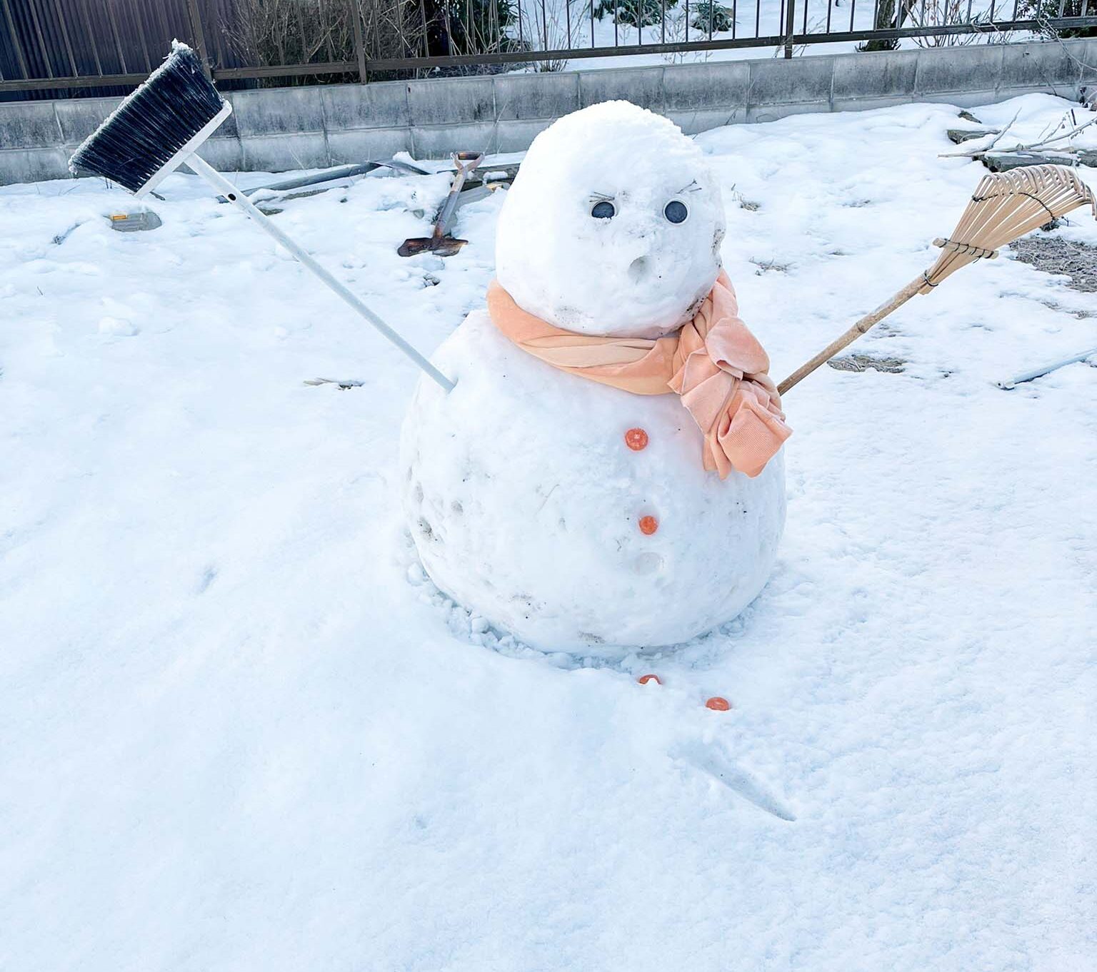 雪が降りました⛄